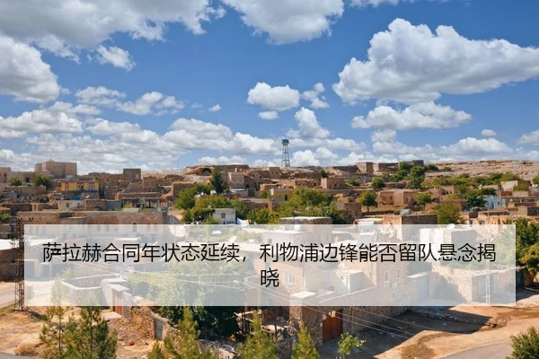 sa-la-he-he-tong-nian-zhuang-tai-yan-xu-li-wu-pu-bian-feng-neng-fou-liu-dui-xuan-nian-jie-xiao-2-719.jpg