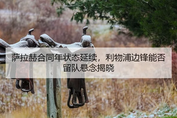 萨拉赫合同年状态延续，利物浦边锋能否留队悬念揭晓